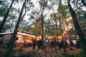 Event - 20-22 Nov 2015, Feast in the Forest