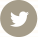 twitter-icon